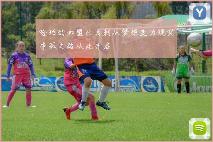 哈珀的加盟让马刺从梦想变为现实夺冠之路从此开启