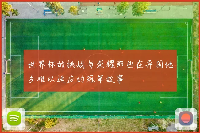 世界杯的挑战与荣耀那些在异国他乡难以适应的冠军故事
